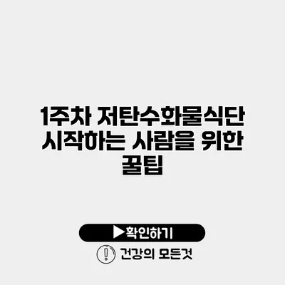 1주차 저탄수화물식단 시작하는 사람을 위한 꿀팁