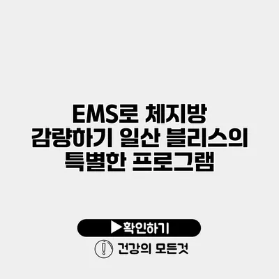 EMS로 체지방 감량하기 일산 블리스의 특별한 프로그램