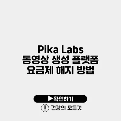 Pika Labs 동영상 생성 플랫폼 요금제 해지 방법