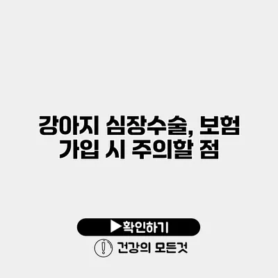 강아지 심장수술, 보험 가입 시 주의할 점