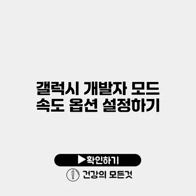 갤럭시 개발자 모드 속도 옵션 설정하기