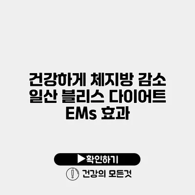 건강하게 체지방 감소 일산 블리스 다이어트 EMs 효과