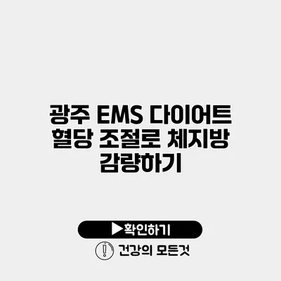 광주 EMS 다이어트 혈당 조절로 체지방 감량하기