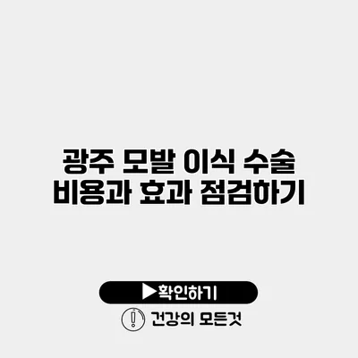 광주 모발 이식 수술 비용과 효과 점검하기