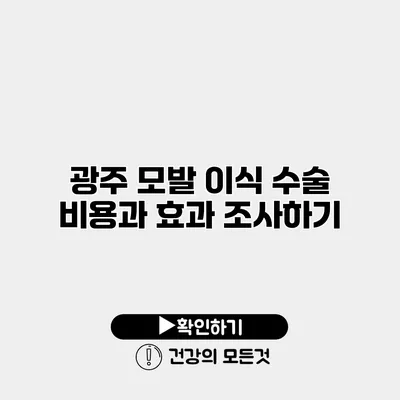 광주 모발 이식 수술 비용과 효과 조사하기
