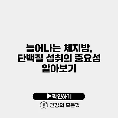 늘어나는 체지방, 단백질 섭취의 중요성 알아보기