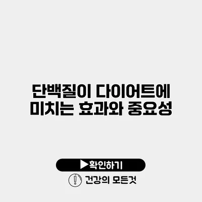 단백질이 다이어트에 미치는 효과와 중요성
