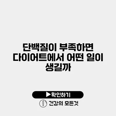 단백질이 부족하면 다이어트에서 어떤 일이 생길까?