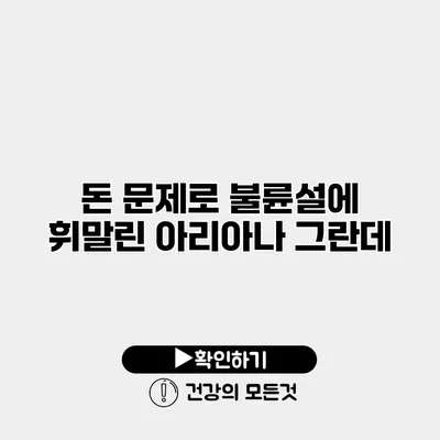 돈 문제로 불륜설에 휘말린 아리아나 그란데