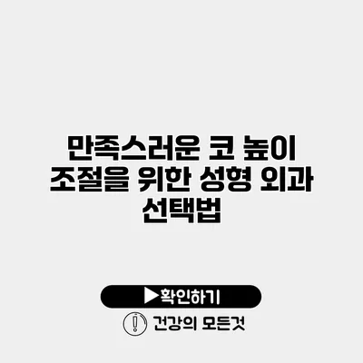 만족스러운 코 높이 조절을 위한 성형 외과 선택법