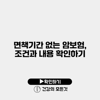 면책기간 없는 암보험, 조건과 내용 확인하기