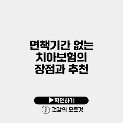 면책기간 없는 치아보험의 장점과 추천