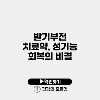 발기부전 치료약, 성기능 회복의 비결