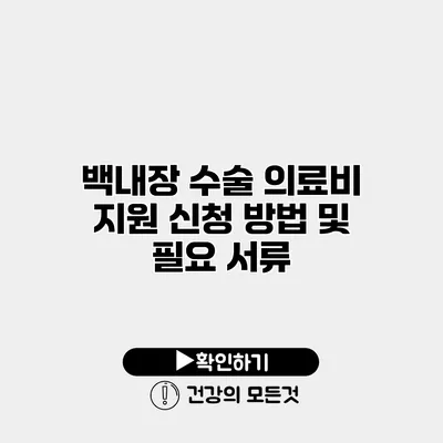 백내장 수술 의료비 지원 신청 방법 및 필요 서류