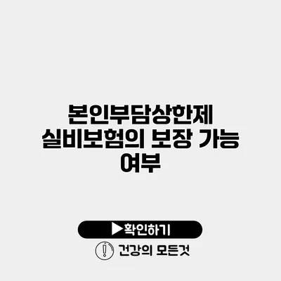 본인부담상한제 실비보험의 보장 가능 여부