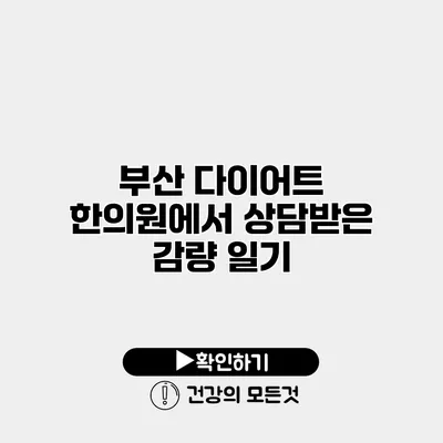 부산 다이어트 한의원에서 상담받은 감량 일기