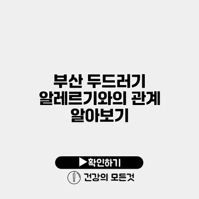 부산 두드러기 알레르기와의 관계 알아보기