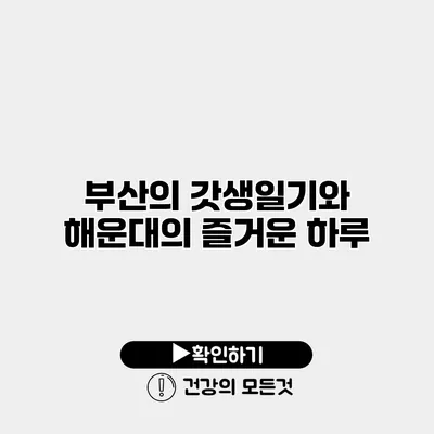 부산의 갓생일기와 해운대의 즐거운 하루