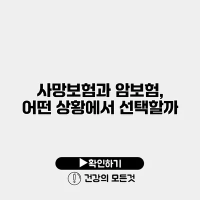 사망보험과 암보험, 어떤 상황에서 선택할까?