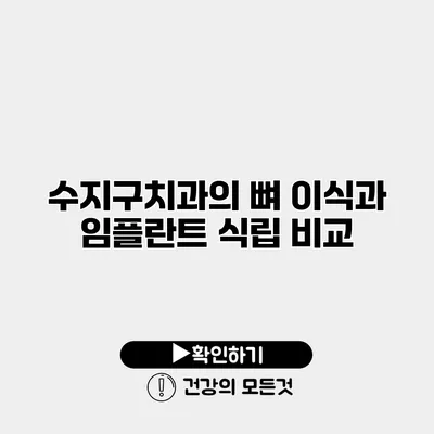 수지구치과의 뼈 이식과 임플란트 식립 비교