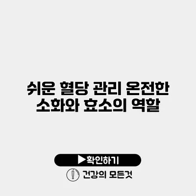 쉬운 혈당 관리 온전한 소화와 효소의 역할