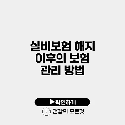 실비보험 해지 이후의 보험 관리 방법