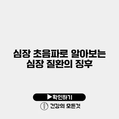 심장 초음파로 알아보는 심장 질환의 징후