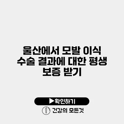 울산에서 모발 이식 수술 결과에 대한 평생 보증 받기