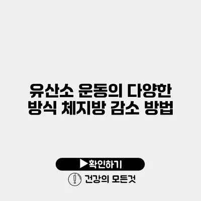 유산소 운동의 다양한 방식 체지방 감소 방법