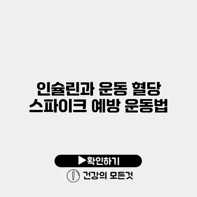 인슐린과 운동 혈당 스파이크 예방 운동법