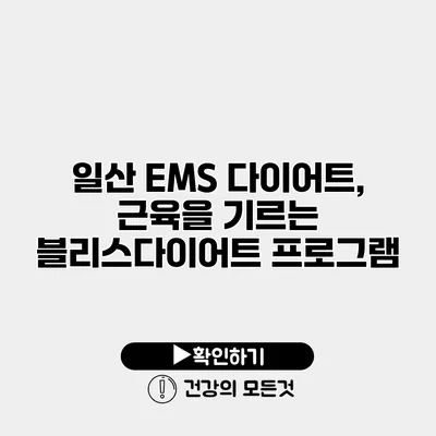 일산 EMS 다이어트, 근육을 기르는 블리스다이어트 프로그램