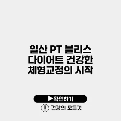 일산 PT 블리스 다이어트 건강한 체형교정의 시작