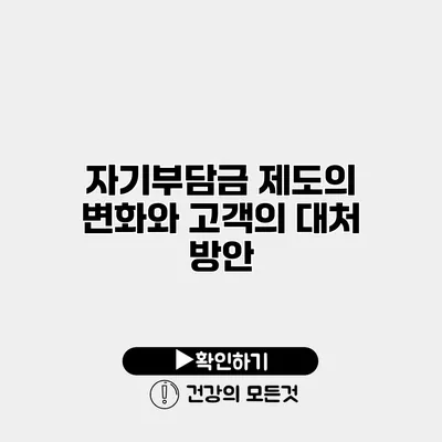 자기부담금 제도의 변화와 고객의 대처 방안
