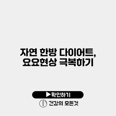 자연 한방 다이어트, 요요현상 극복하기
