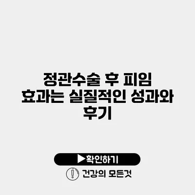 정관수술 후 피임 효과는? 실질적인 성과와 후기