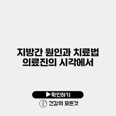 지방간 원인과 치료법 의료진의 시각에서