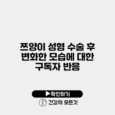 쯔양이 성형 수술 후 변화한 모습에 대한 구독자 반응