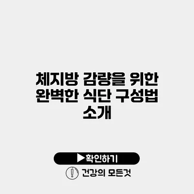 체지방 감량을 위한 완벽한 식단 구성법 소개