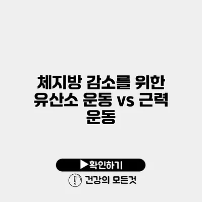체지방 감소를 위한 유산소 운동 vs 근력 운동