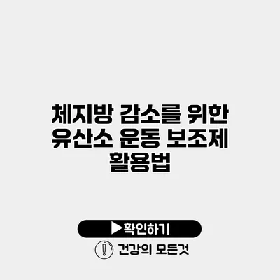 체지방 감소를 위한 유산소 운동 보조제 활용법