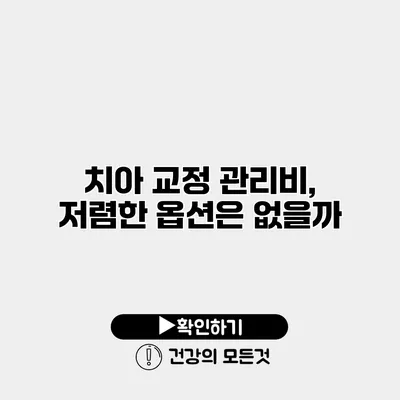 치아 교정 관리비, 저렴한 옵션은 없을까?