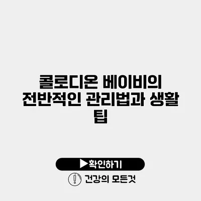 콜로디온 베이비의 전반적인 관리법과 생활 팁