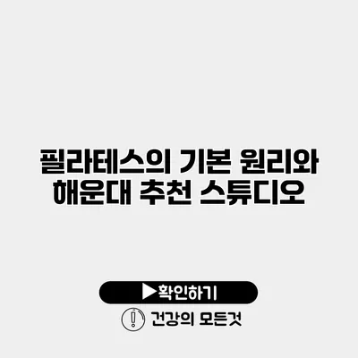 필라테스의 기본 원리와 해운대 추천 스튜디오
