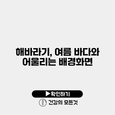 해바라기, 여름 바다와 어울리는 배경화면