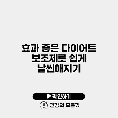 효과 좋은 다이어트 보조제로 쉽게 날씬해지기