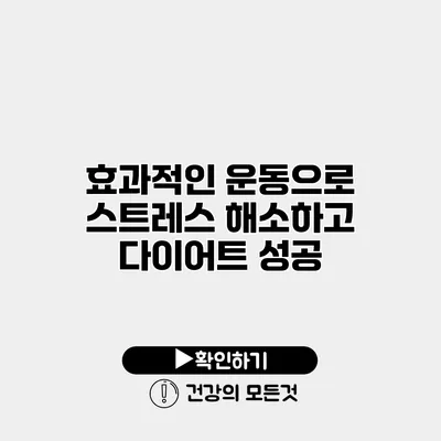 효과적인 운동으로 스트레스 해소하고 다이어트 성공