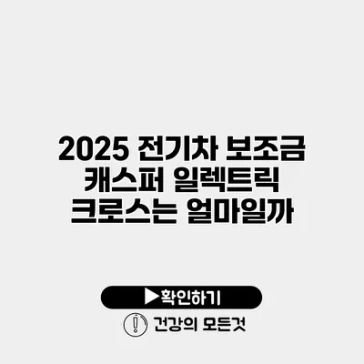 2025 전기차 보조금 캐스퍼 일렉트릭 크로스는 얼마일까?