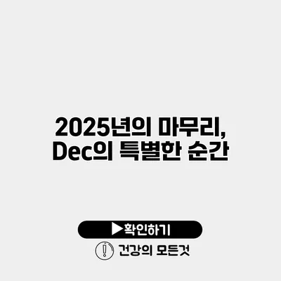 2025년의 마무리, Dec의 특별한 순간