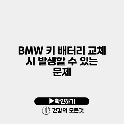 BMW 키 배터리 교체 시 발생할 수 있는 문제
