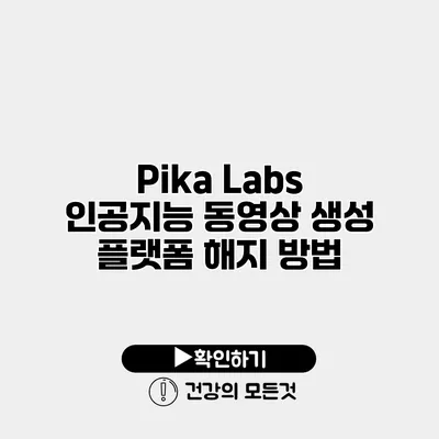 Pika Labs 인공지능 동영상 생성 플랫폼 해지 방법